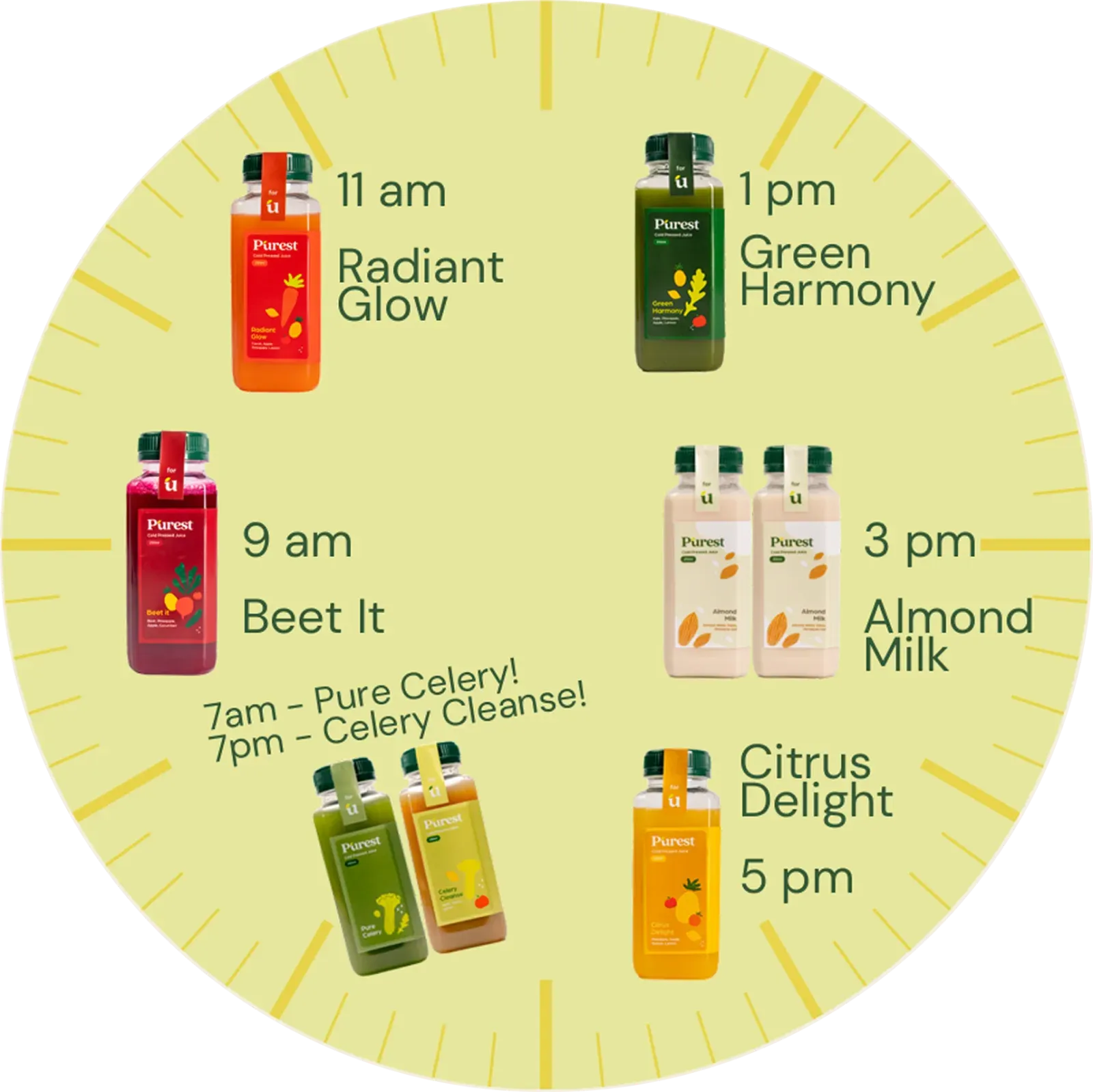 Jadwal Purest Cleanse Program
