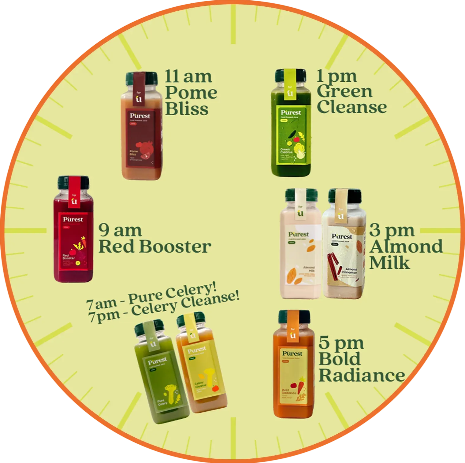 Jadwal Purest Cleanse Program